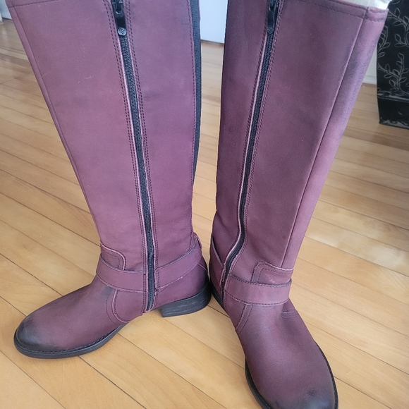 Trapani Tulsa Knee High Suede Maroon Boots - Picture 3 of 3